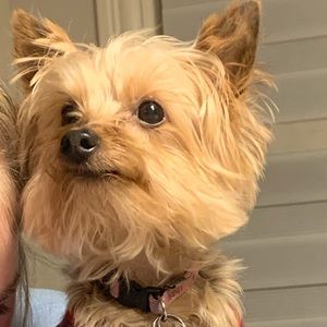 Meet your Posher, Brooke